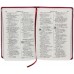 Biblia Sagrada com Letra Gigante - (RA 065 LGI sem indice)