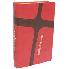 Biblia Sagrada - letra Gigante - (RA 065 LGI) - capa cruz