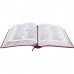 Bíblia Sagrada com Letra Gigante ( RA 065 TILGI com índice) - Cores Diversas